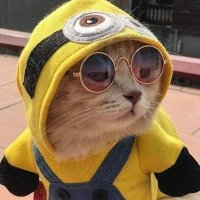 کلیوَر مِرّچُو🤸🙋 (@v9azb) 's Twitter Profile