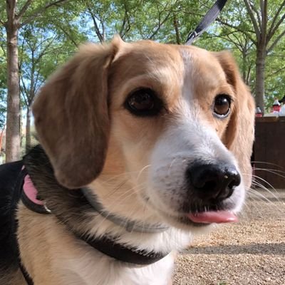 torinoxx's profile picture. Act with your example!