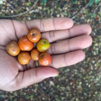 PragathishD_ (@pragathishdd) 's Twitter Profile