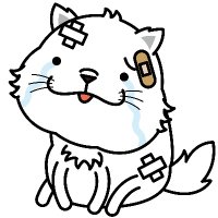 のぶ (@toy_or_slave) 's Twitter Profile