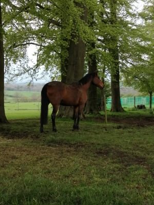 simonhickson's profile picture. Not the Simon Hickson of the late 80's famed for swinging his pants, just Simon Hickson the IT guy from Lincolnshire.