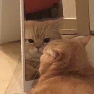 nk_jazz's profile picture. 