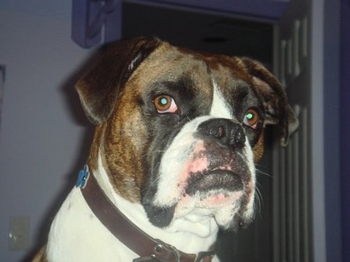 RemyGorin's profile picture. I'm actually not funny, I'm just mean and people think I'm joking.