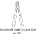 Brockwell Park Cricket (@BParkCricket) Twitter profile photo