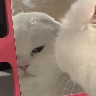 ___babay's profile picture. 