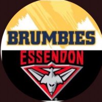BatemansBayBomber (@barbsthebomber) 's Twitter Profile Photo BatemansBayBomber (@barbsthebomber) 's Twitter Profile Photo
