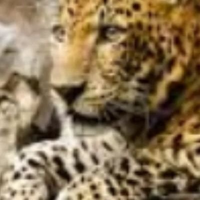 47Giddion's profile picture. Hard work