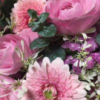 nuke🐢🩵🐹🎁 (@keikonu1115) 's Twitter Profile Photo