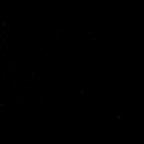 StaunchAdmiral's profile picture. 