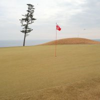 MITSUAKI⛳️🙏 (@mitsuak73883357) 's Twitter Profile