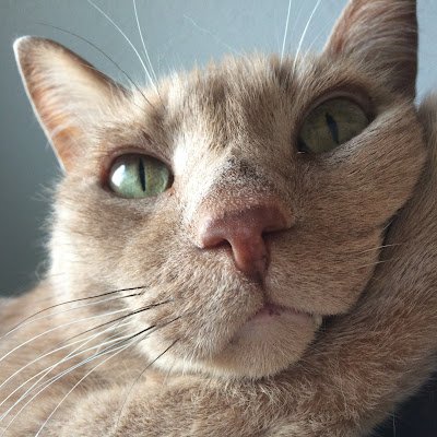 NUMBERS62675995's profile picture. 