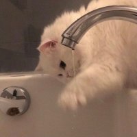 mi (@pyys__) 's Twitter Profile