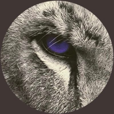 Trinity Christian School Athletics Profile