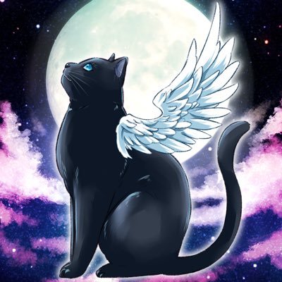 琉空🐈‍⬛さんのプロフィール画像