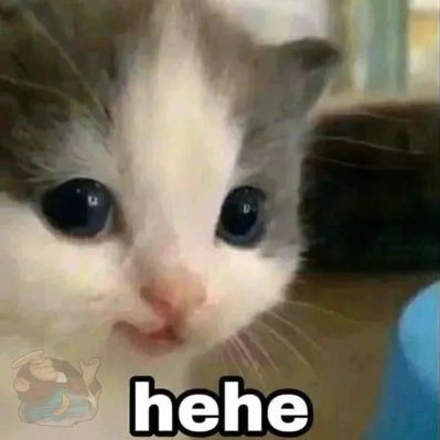 RAMZES2303's profile picture. 