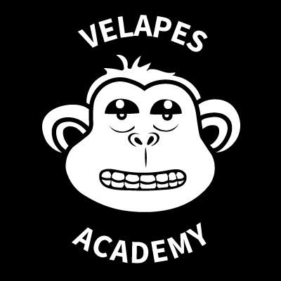 Welcome to the Velapes Academy. Mint a Velape, join the academy and earn passive income.

First NFTs built within a yield optimizer: https://t.co/j6StU7YoWP