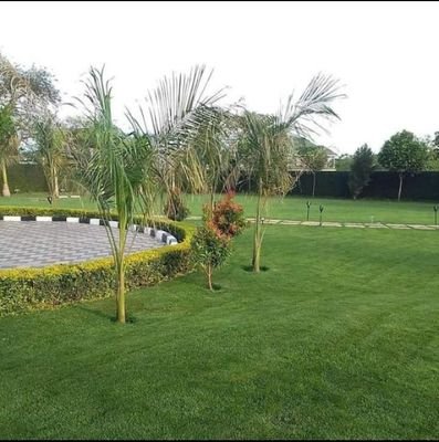 Landscaping company with modern landscaping solutions to transform your environment