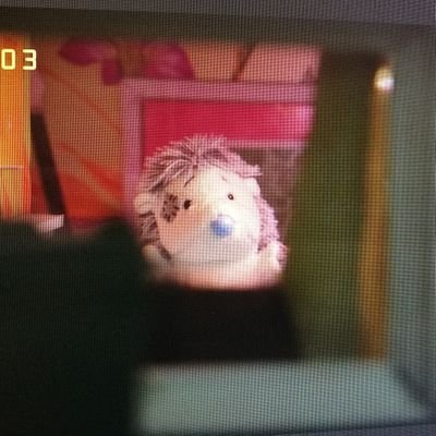 williamsさんのプロフィール画像