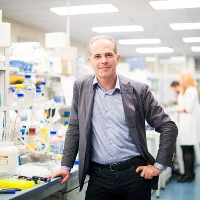 Luca Scorrano Profile