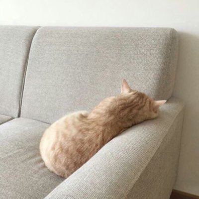 mn*さんのプロフィール画像