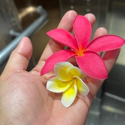 SweetAce12's profile picture. Crypto enthusiast