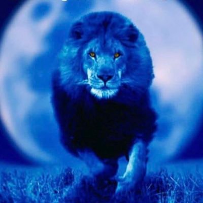 RobYur1's profile picture. 