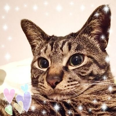 トム【お取引は固定必読】さんのプロフィール画像