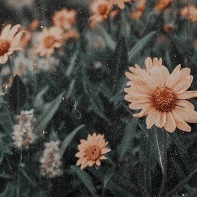 deviambar12's profile picture. Nothing.