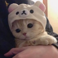 Pk14y (@pk14y) 's Twitter Profile