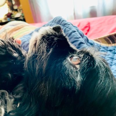 HereFor42730154's profile picture. 