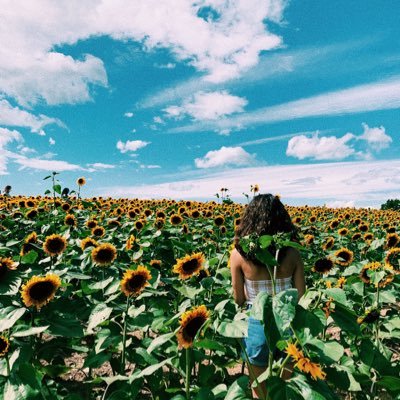 MaranoDylin's profile picture. CT