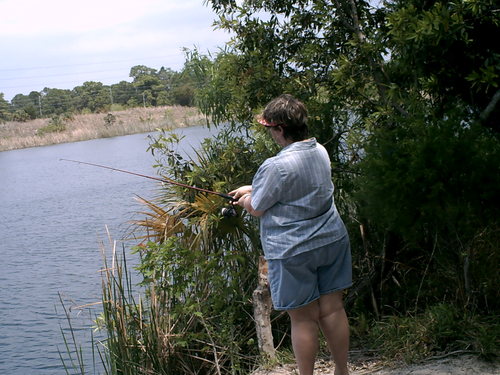 floridaflamingo's profile picture. One line bio? Get real...I have way more bio than one line.