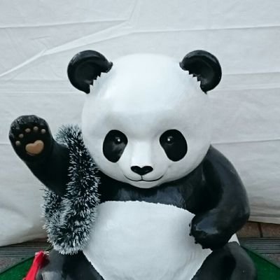 setsugennokumaさんのプロフィール画像