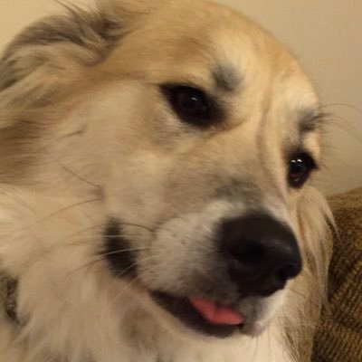 SilverBroker's profile picture. Love it or Leave it