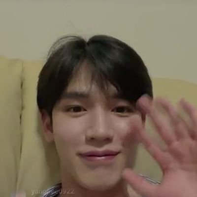 menyuwi's profile picture. wild horse.