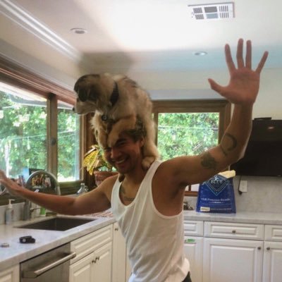 HeyChongGirl's profile picture. Multifandom: 5SOS, T.S, Morat, BlackPink, Martin Garrix, Halsey, Coldplay, Imagine Dragons, Dua Lipa, Dvicio, Tom Hiddleston, Pastel Stereo