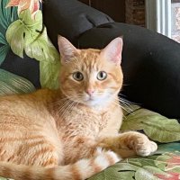 Doc (@doc13415157) 's Twitter Profile