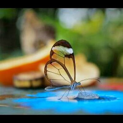 Umamahe50644389's profile picture. 