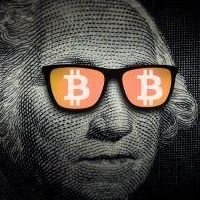 Bitcoin Will Save Us 🚀⚡️ Profile