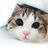 sorano_tarou's profile image