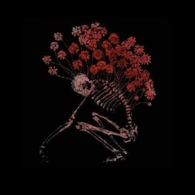 Saddujamzy's profile picture. ......