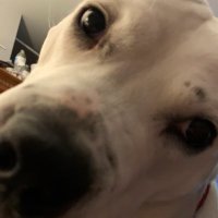 YawningSquash (@yawning_squash) 's Twitter Profile Photo YawningSquash (@yawning_squash) 's Twitter Profile Photo