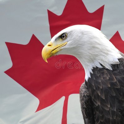 🇨🇦🇳🇱 Eagle Wings 🇨🇦 Unacceptable View Holder