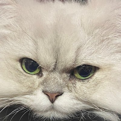 liuyang02597841's profile picture. 