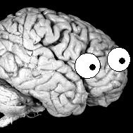 Neuroscience, psychology and psychiatry through a skeptical lens. Just a brain with some eyes. Formerly blogged for @DiscoverMag.