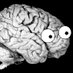 Neuroskeptic 🇺🇦 (@Neuro_Skeptic) Twitter profile photo