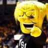 WSUHoopsTalk's profile picture. Wichita State Grad and devoted Shocker fan. Opinions about Shocker Men's Basketball and Shocker Sports.