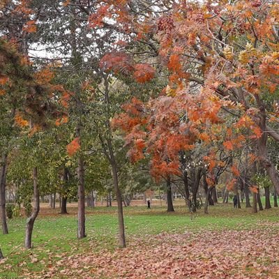 22_GRC_13's profile picture. 