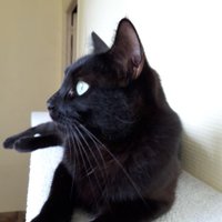 Aimie (@aimie24620094) 's Twitter Profile Photo Aimie (@aimie24620094) 's Twitter Profile Photo