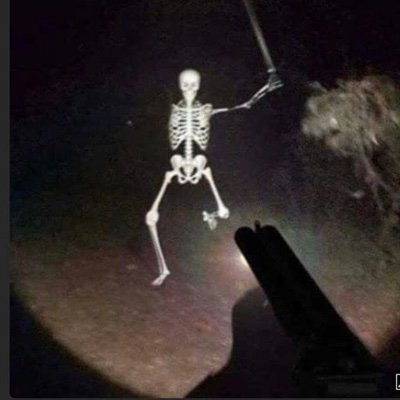 AccessHatch's profile picture. 